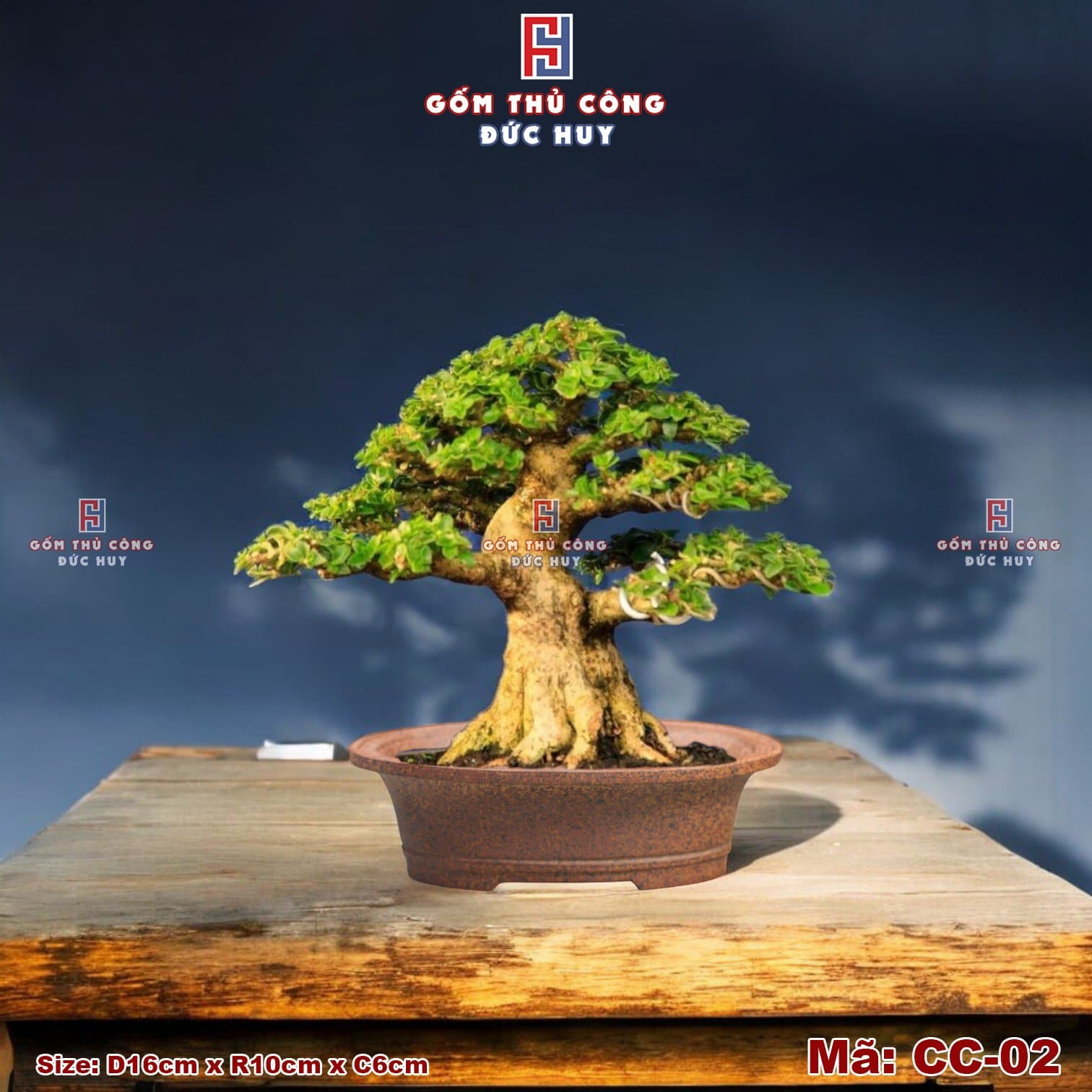 Chậu bonsai mini dáng oval men hạt 3D – Gốm Đức Huy Mã - CC-02 11 Chau trong cay bonsai Oval Ma CC02 Gom Duc Huy 2