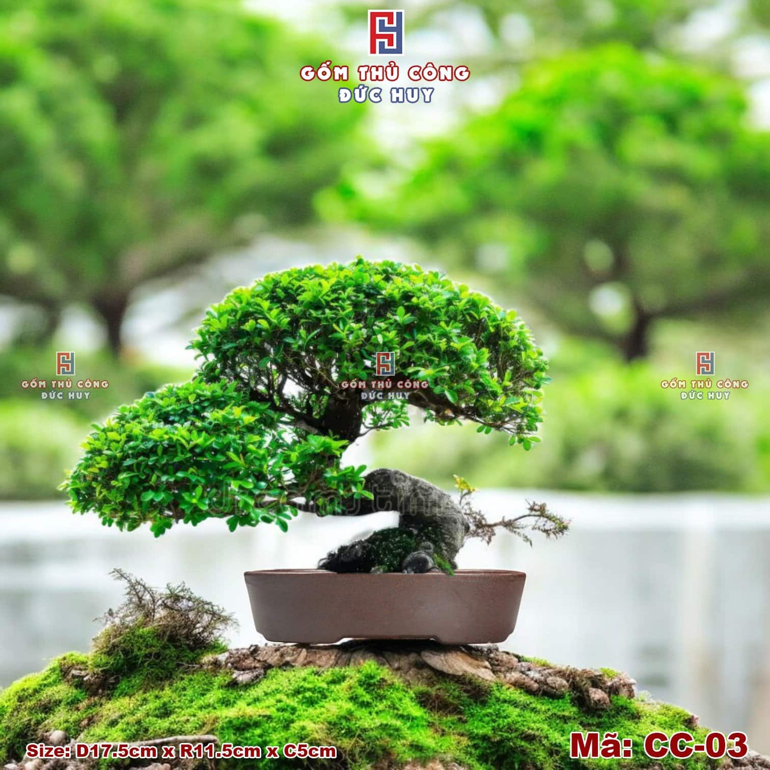 Chậu bonsai oval dáng thấp – men hạt 3D - Mã CC-03 8 Chau trong cay bonsai Oval Ma CC03 Gom Duc Huy 2