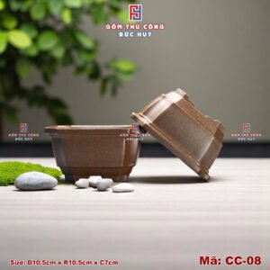 Chau trong cay bonsai mini Ma CC08 Gom Duc Huy 2
