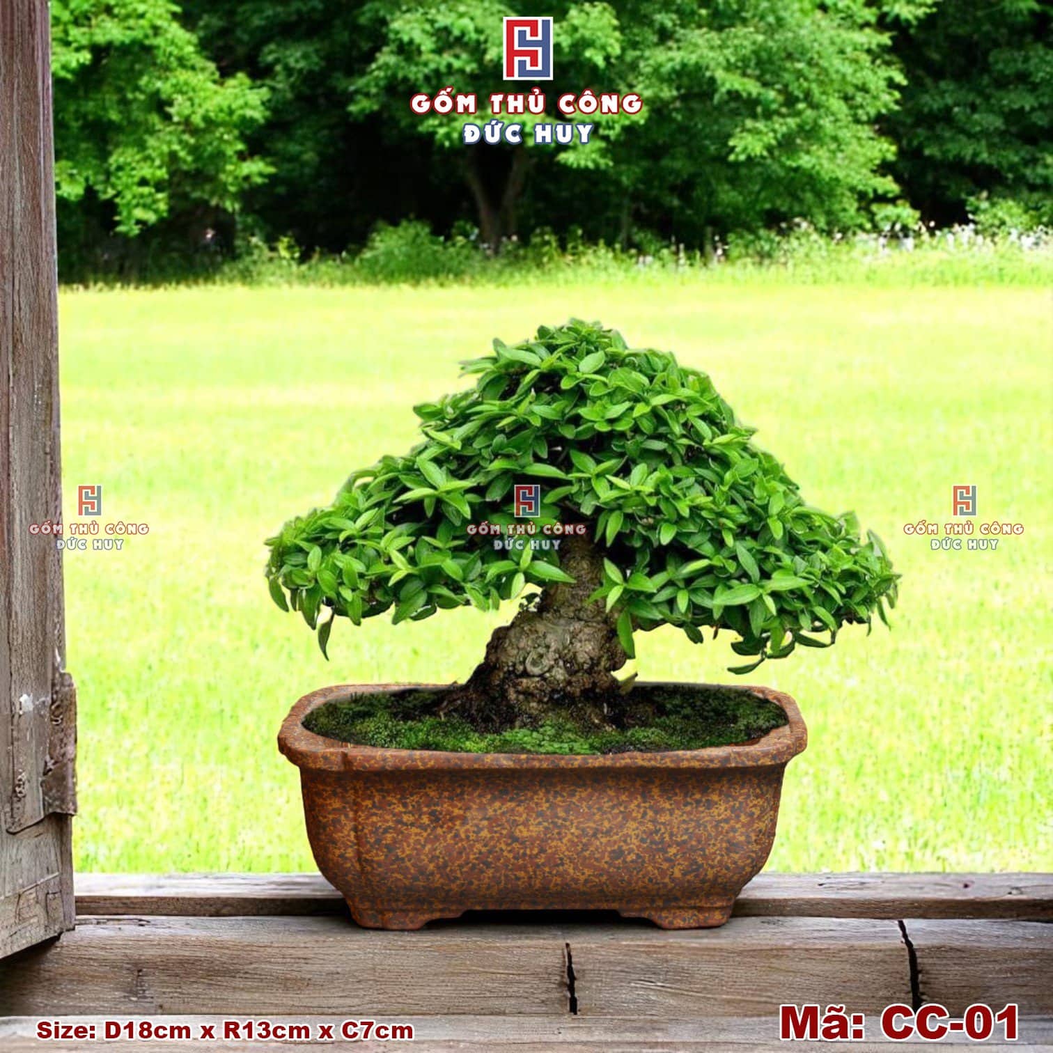 Chậu bonsai mini dáng chữ nhật men hạt 3D - Mã CC-01 13 Chậu trồng cây bonsai mini - dáng chữ nhật bo góc - Mã CC01