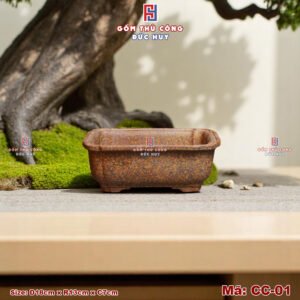 Chau trong cay bonsai mini dang chu nhat bo goc Ma CC01 8