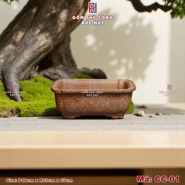 Chậu bonsai mini dáng chữ nhật men hạt 3D - Mã CC-01 - Hình ảnh 5