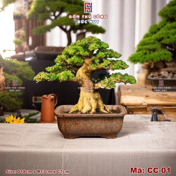 Chậu trồng cây bonsai mini - dáng chữ nhật bo góc - Mã CC01