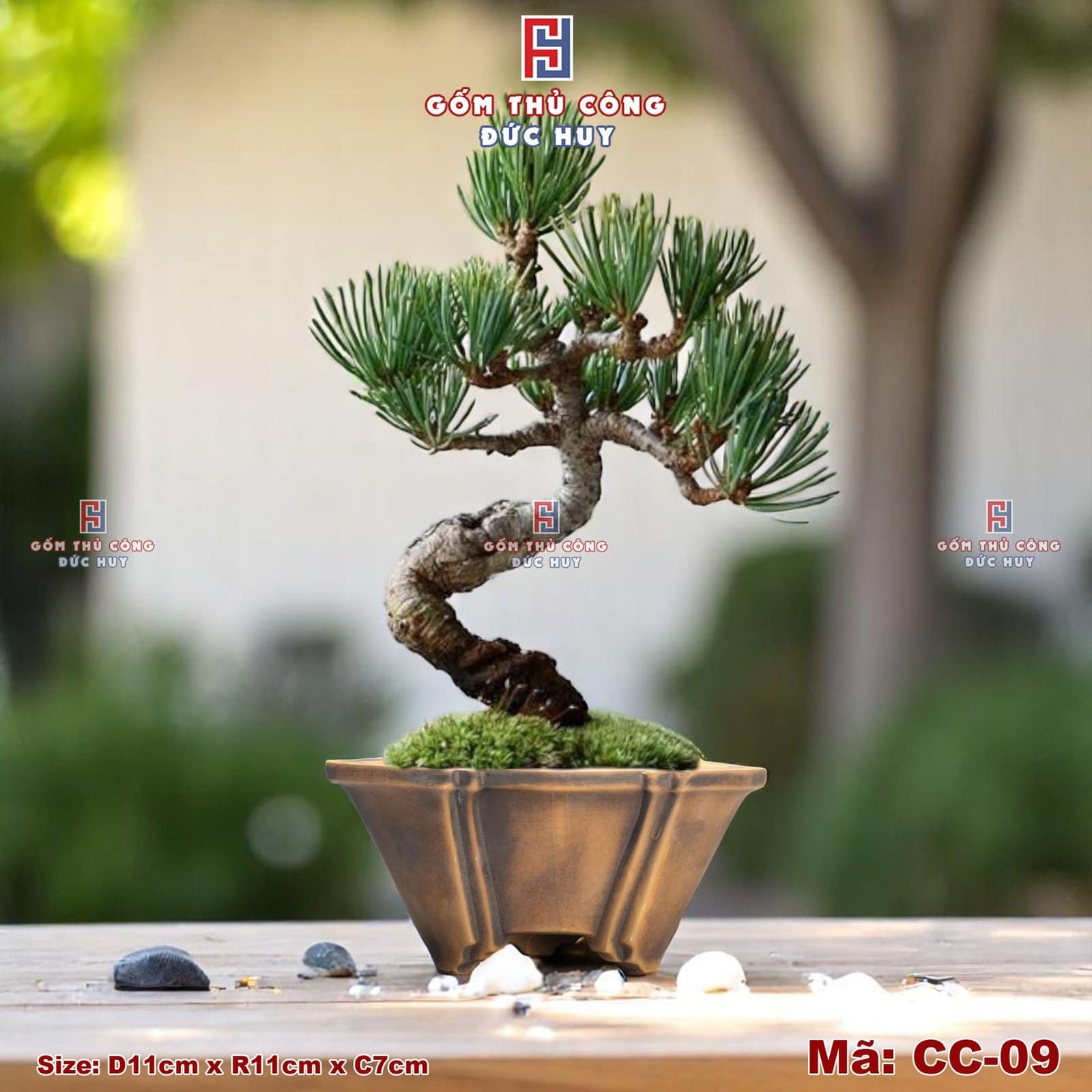 Chậu bonsai mini dáng phỏng cổ men loang nâu đen - Mã CC-09 8 Chau trong cay bonsai mini dang co men loang ma CC09 Gom Duc Huy 2