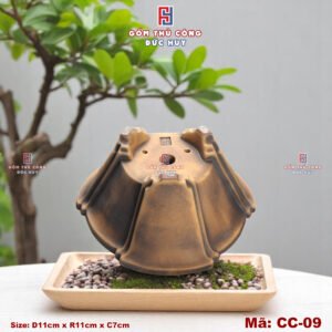 Chau trong cay bonsai mini dang co men loang ma CC09 Gom Duc Huy 4