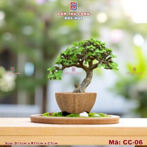Chau trong cay bonsai mini dang dai sen ma CC06 Gom Duc Huy 2
