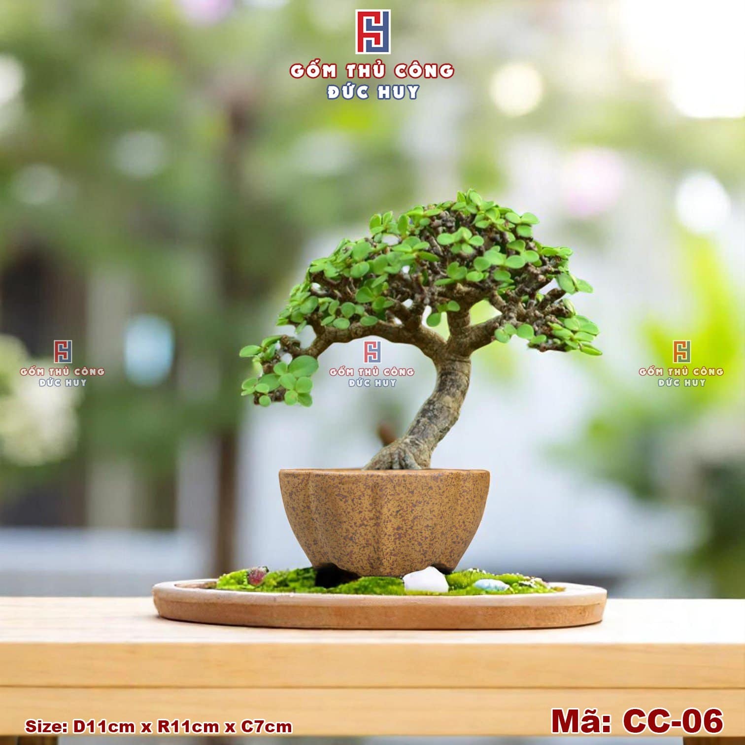 Chậu bonsai mini dáng bát sen – men hạt 3D - Mã CC-06 10 Chau trong cay bonsai mini dang dai sen ma CC06 Gom Duc Huy 2