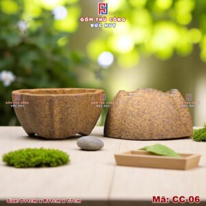 Chau trong cay bonsai mini dang dai sen ma CC06 Gom Duc Huy 5