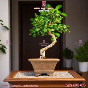 Chau trong cay bonsai mini dang vat ma CC04 Gom Duc Huy 2