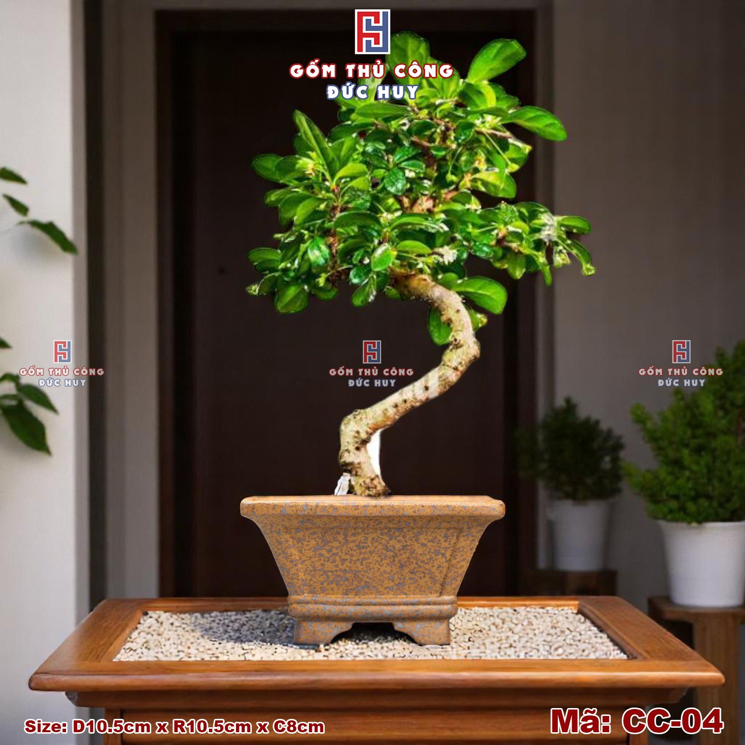 Chậu bonsai mini – men hạt 3D - Mã CC-04 10 Chau trong cay bonsai mini dang vat ma CC04 Gom Duc Huy 2