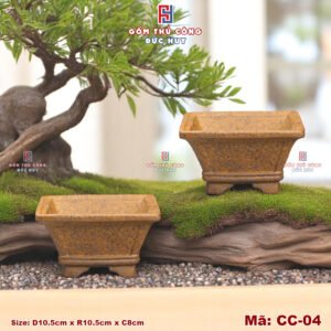 Chau trong cay bonsai mini dang vat ma CC04 Gom Duc Huy 3
