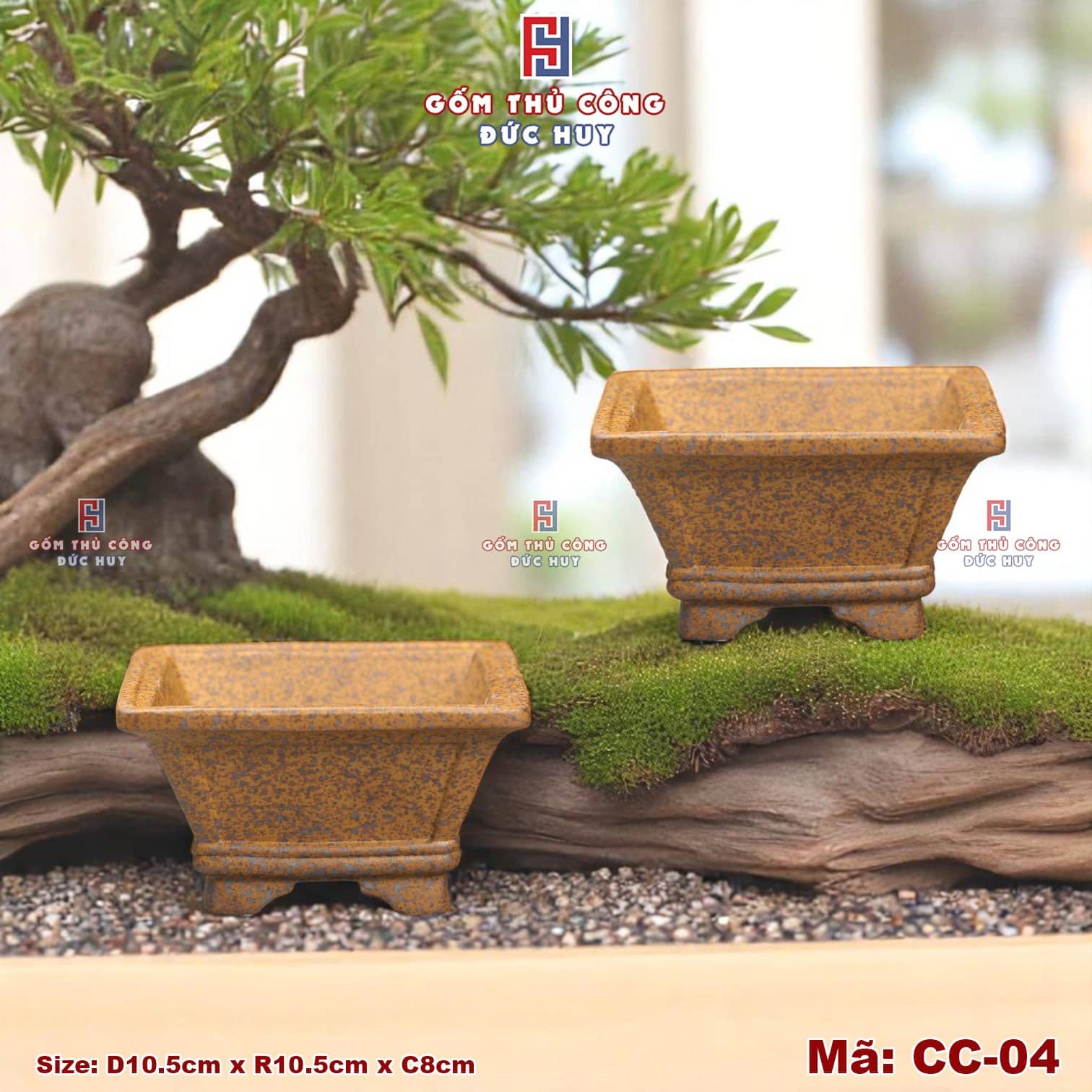 Chậu bonsai mini – men hạt 3D - Mã CC-04 11 Chau trong cay bonsai mini dang vat ma CC04 Gom Duc Huy 3