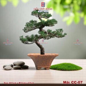 Chau trong cay bonsai mini dang xe quat Ma CC07 Gom Duc Huy 3