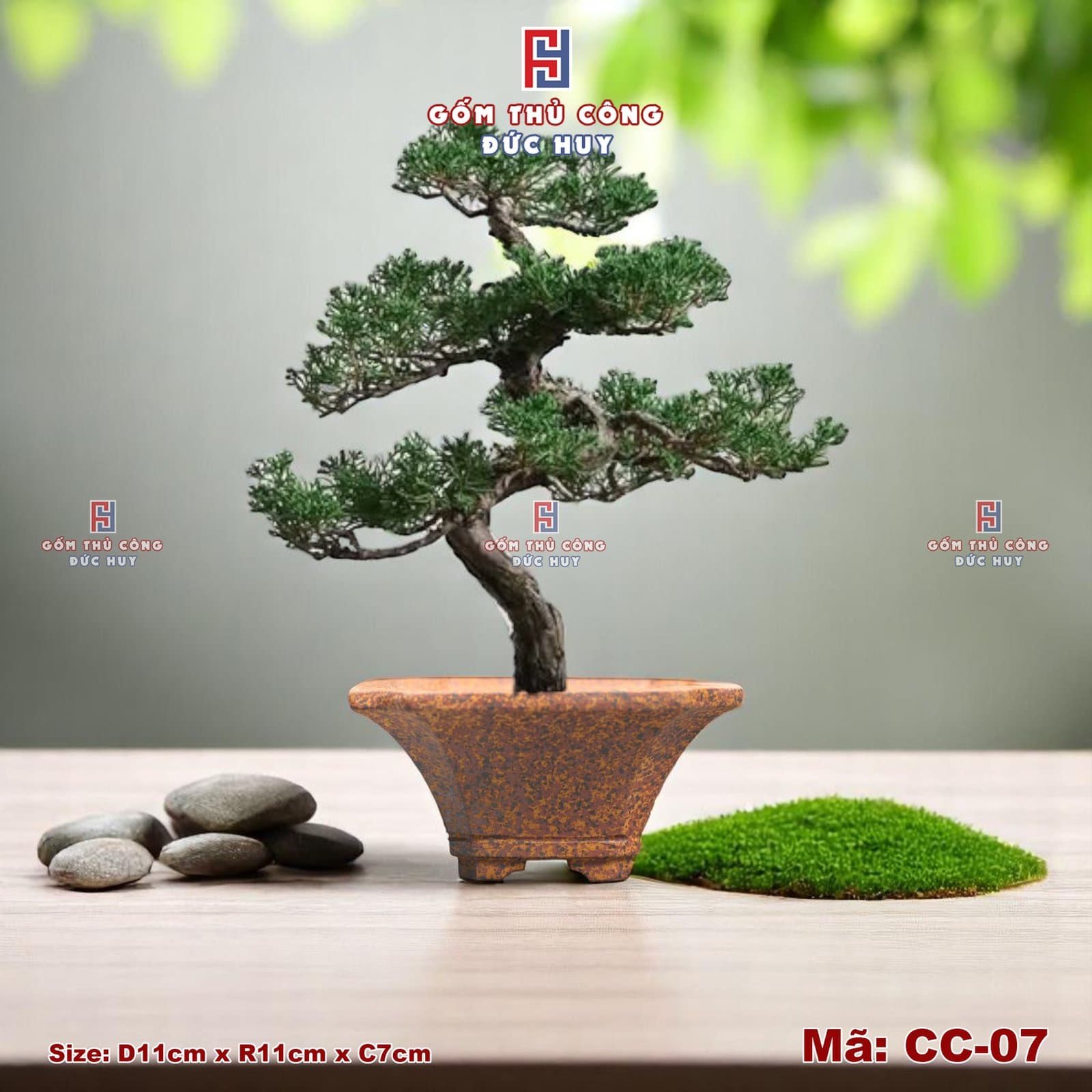 Chậu bonsai mini dáng xẻ quạt – men hạt 3D - Mã CC-07 8 Chau trong cay bonsai mini dang xe quat Ma CC07 Gom Duc Huy 3